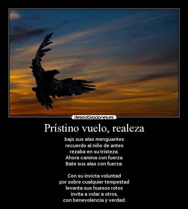 Prístino vuelo, realeza - bajo sus alas menguantes
recuerdo al niño de antes
rezaba en su tristeza.
Ahora camina con fuerza
Bate sus alas con fuerza.
Con su invicta voluntad
por sobre cualquier tempestad
levanta sus huesos rotos
invita a volar a otros,
con benevolencia y verdad.