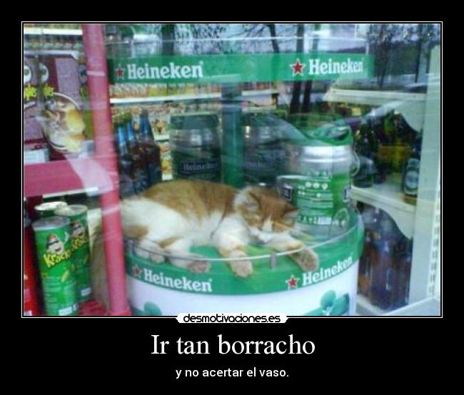 Ir tan borracho - 