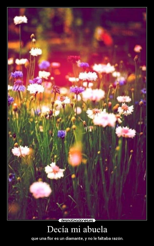 Decía mi abuela - que una flor es un diamante, y no le faltaba razón.