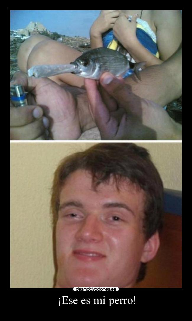 ¡Ese es mi perro! -