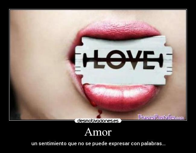 Amor - 