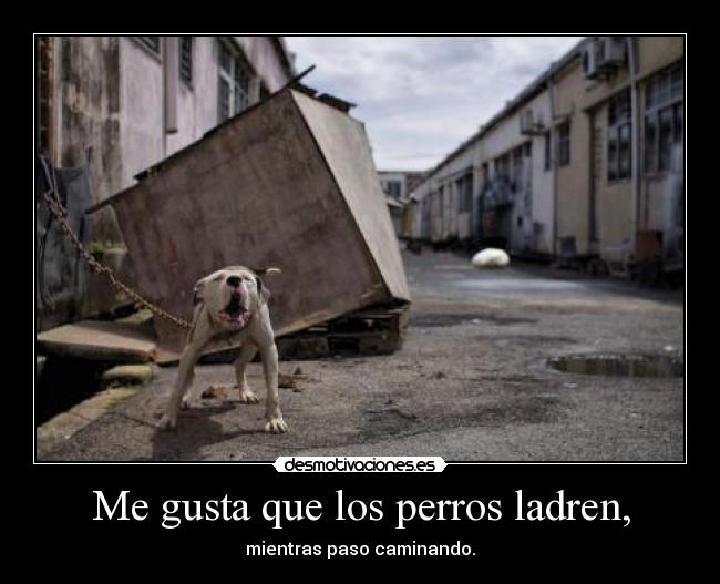 Me gusta que los perros ladren, -