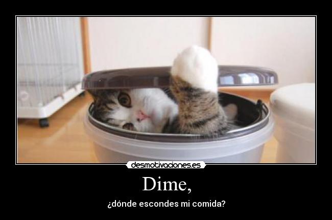 carteles gatos tnt todas las imagenes que queria subir estaban usadas tnt 1313 desmotivaciones