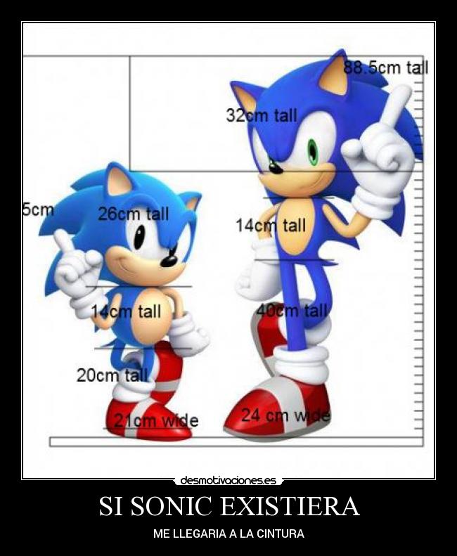 SI SONIC EXISTIERA - ME LLEGARIA A LA CINTURA