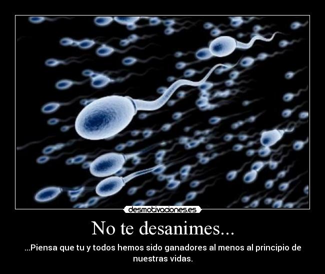 No te desanimes... - ...Piensa que tu y todos hemos sido ganadores al menos al principio de
nuestras vidas.