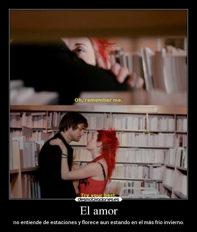 El amor -