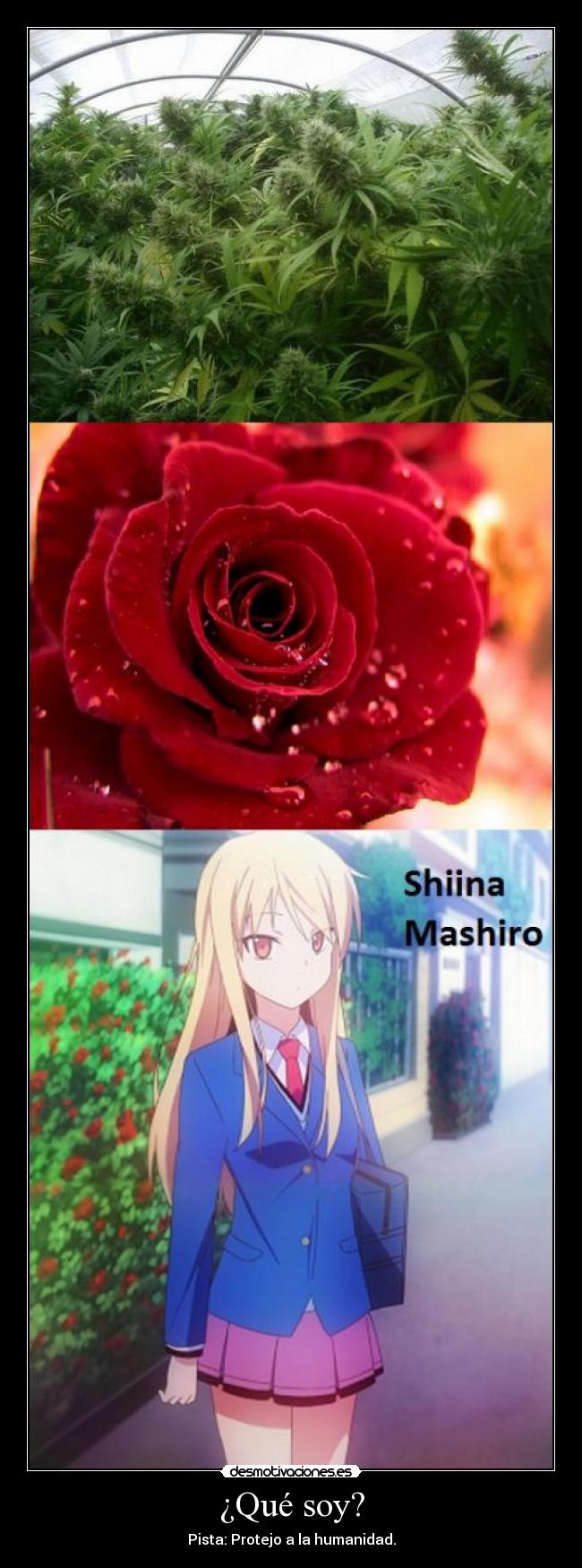 ¿Qué soy? - Pista: Protejo a la humanidad.