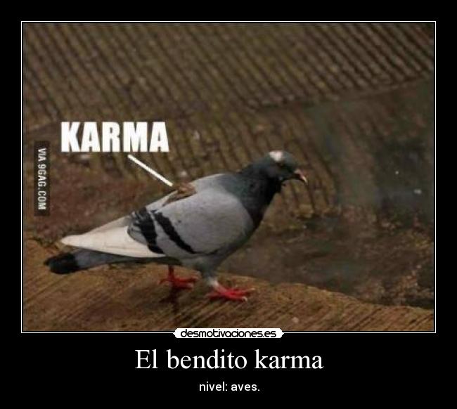 El bendito karma -