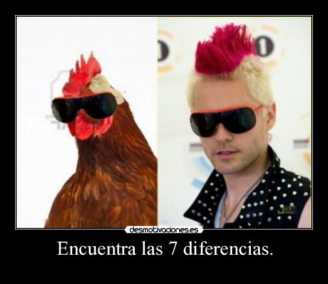 Encuentra las 7 diferencias. - 