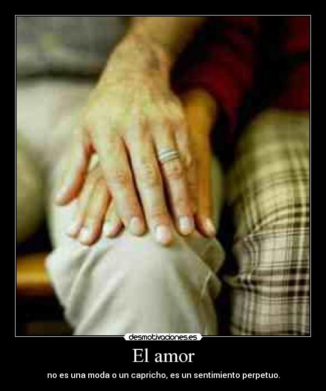 El amor - no es una moda o un capricho, es un sentimiento perpetuo.