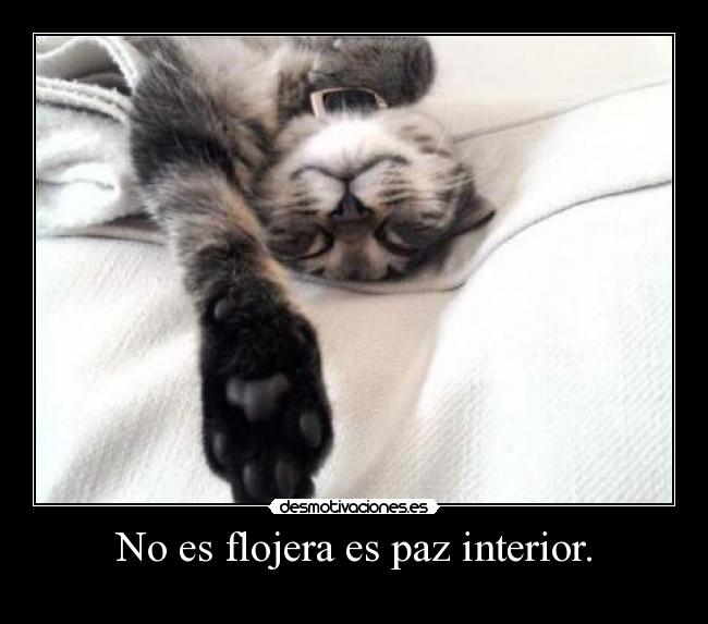 No es flojera es paz interior. -