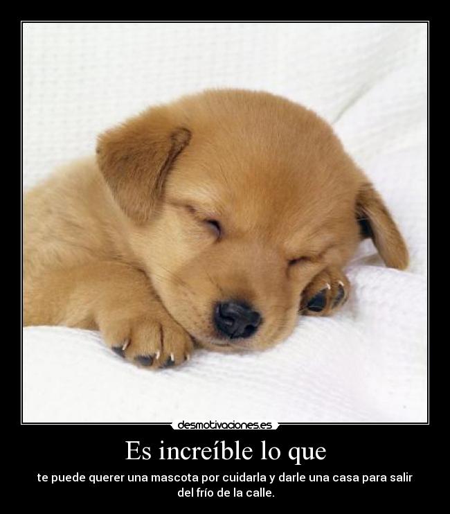 Es increíble lo que - 