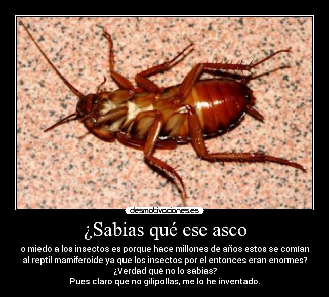 ¿Sabias qué ese asco - o miedo a los insectos es porque hace millones de años estos se comían
al reptil mamiferoide ya que los insectos por el entonces eran enormes?
¿Verdad qué no lo sabias?
Pues claro que no gilipollas, me lo he inventado.
