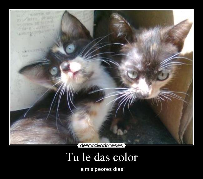 carteles  desmotivaciones