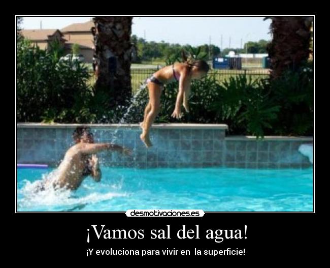 ¡Vamos sal del agua! - 