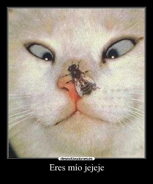 Eres mío jejeje - 