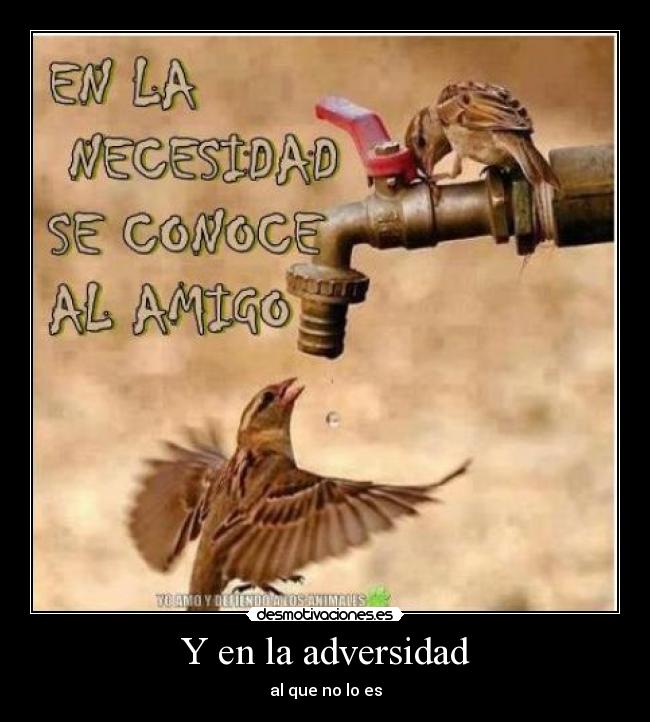 Y en la adversidad - al que no lo es