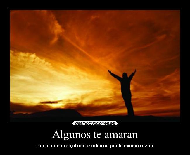 carteles freedom desmotivaciones