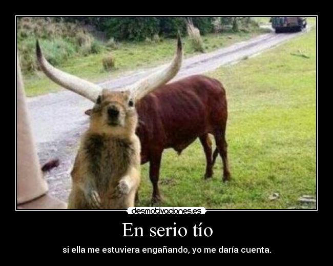 En serio tío -