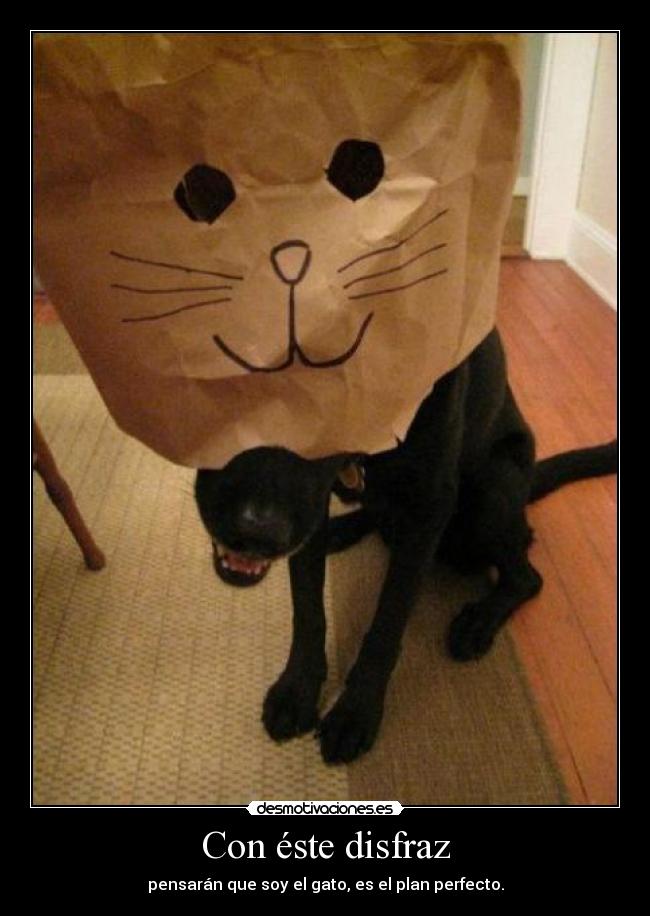 Con éste disfraz - 