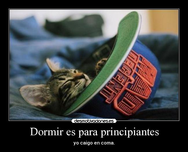 Dormir es para principiantes - 