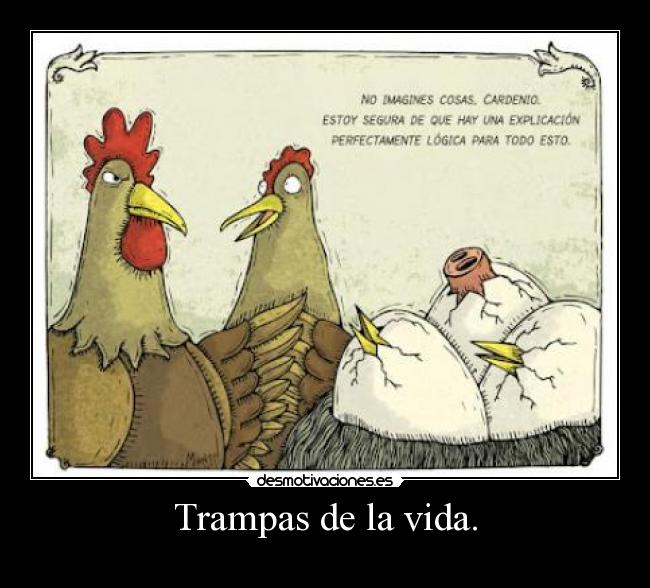 carteles vida gallina cerdo desmotivaciones