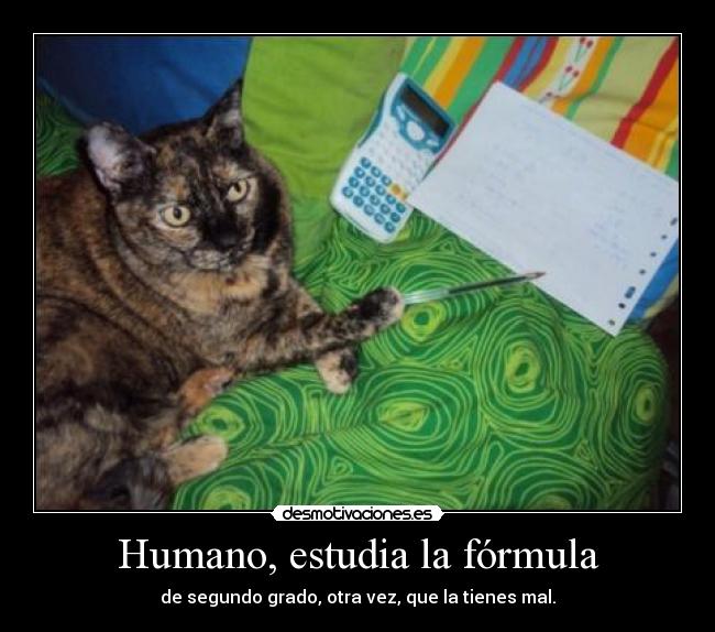 Humano, estudia la fórmula -