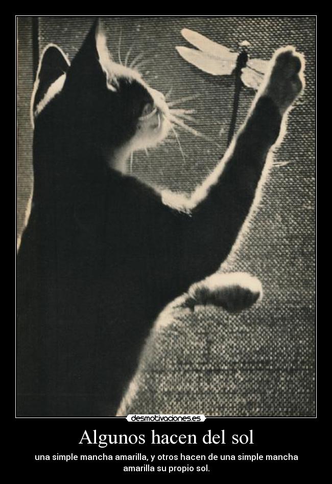 Algunos hacen del sol -