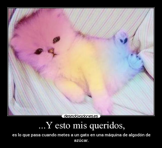 ...Y esto mis queridos, - es lo que pasa cuando metes a un gato en una máquina de algodón de azúcar.