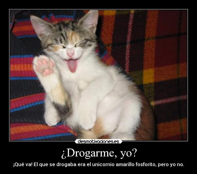 ¿Drogarme, yo? - ¡Qué va! El que se drogaba era el unicornio amarillo fosforito, pero yo no.