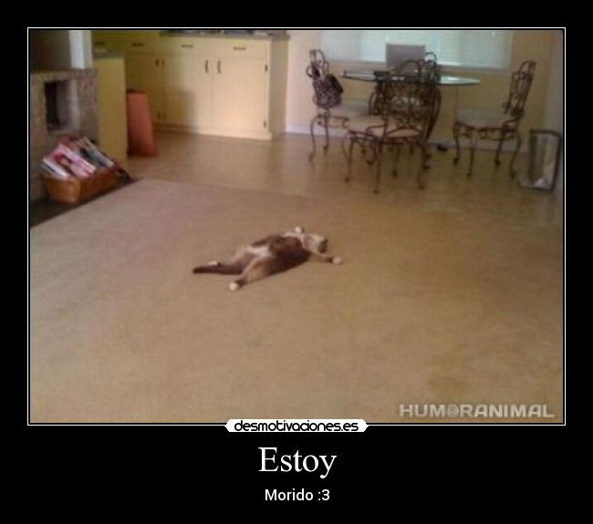 Estoy - Morido :3