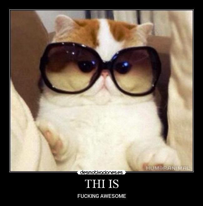 THI IS - FUCKING AWESOME