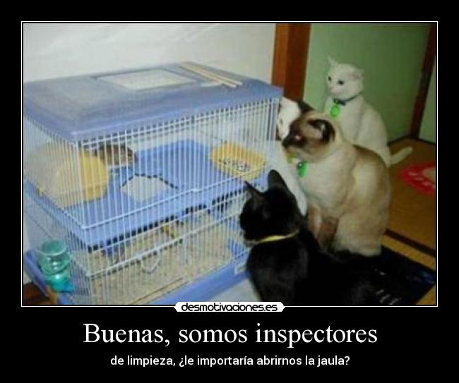 Buenas, somos inspectores -
