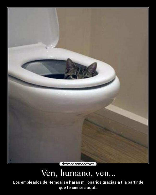 Ven, humano, ven... - Los empleados de Hemoal se harán millonarios gracias a ti a partir de
que te sientes aquí...