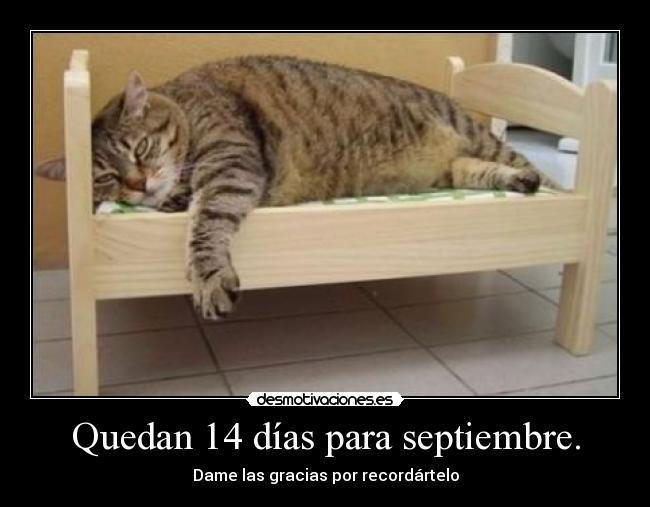 Quedan 14 días para septiembre. - 