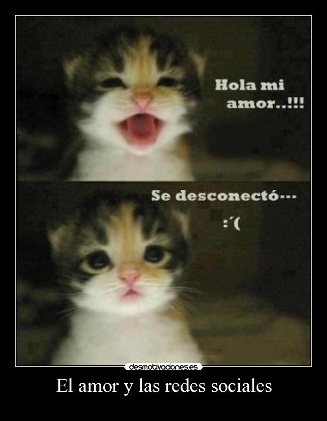 El amor y las redes sociales -