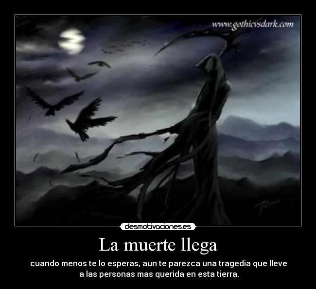 carteles muerte muerte desmotivaciones
