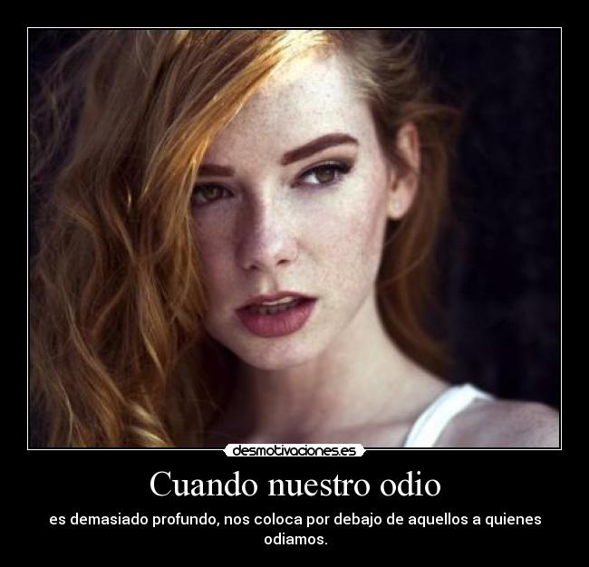 carteles odio rochefoucauld desmotivaciones