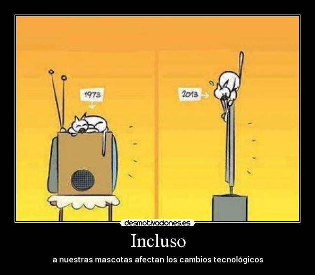 Incluso - 