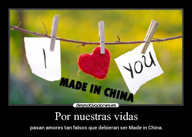 Por nuestras vidas - 