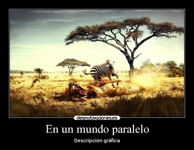 carteles mundo sabana zebra leon mundo paralelo desmotivaciones