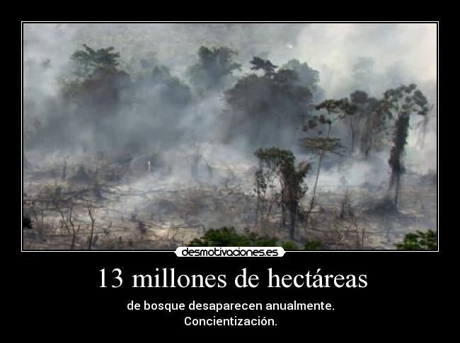 13 millones de hectáreas - de bosque desaparecen anualmente.
Concientización.