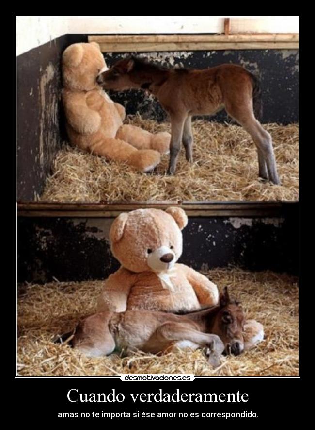 Cuando verdaderamente - amas no te importa si ése amor no es correspondido.