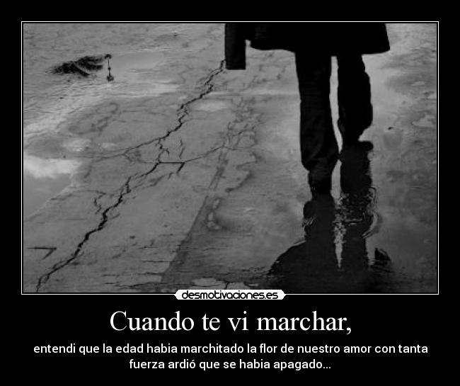 Cuando te vi marchar, - entendi que la edad habia marchitado la flor de nuestro amor con tanta
fuerza ardió que se habia apagado...