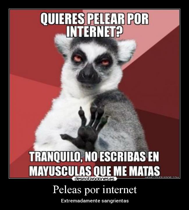 Peleas por internet - 