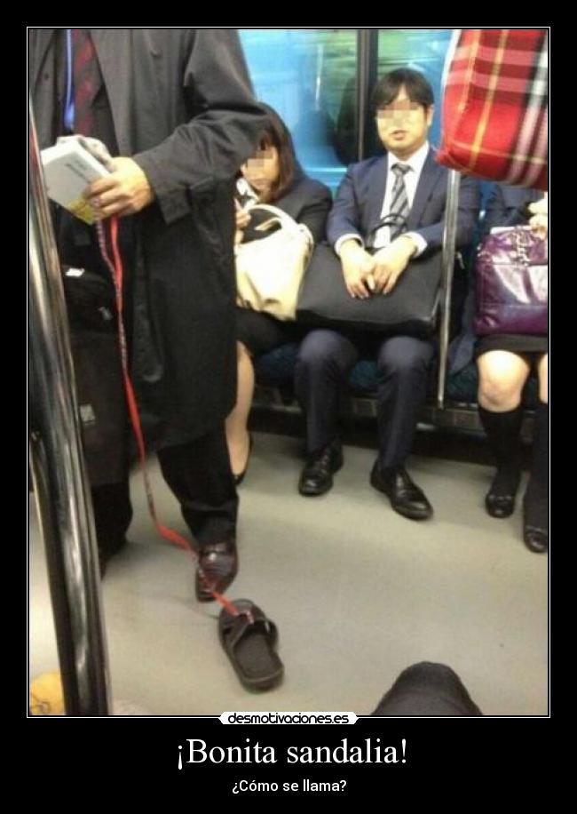 ¡Bonita sandalia! - 