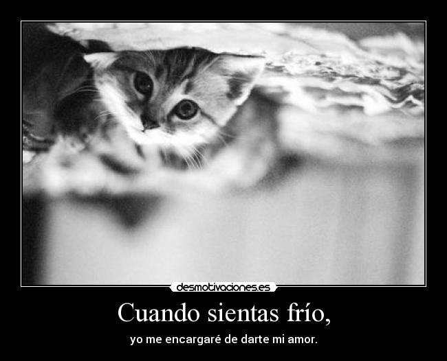 Cuando sientas frío, -
