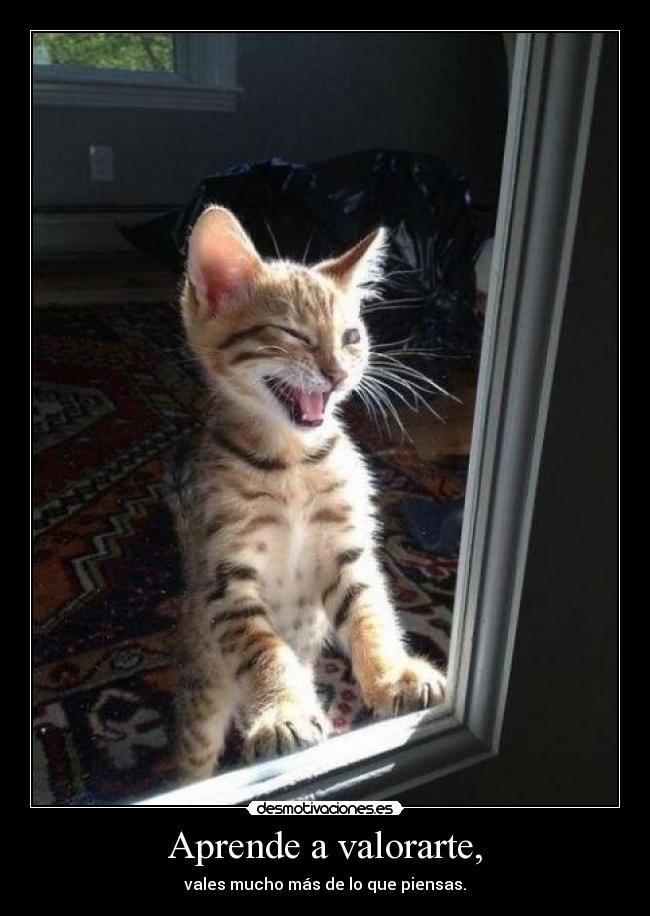 Aprende a valorarte, - 