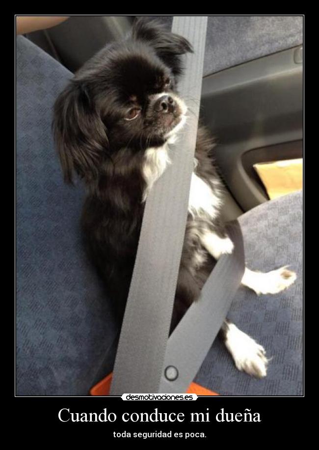 Cuando conduce mi dueña -
