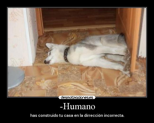 -Humano -